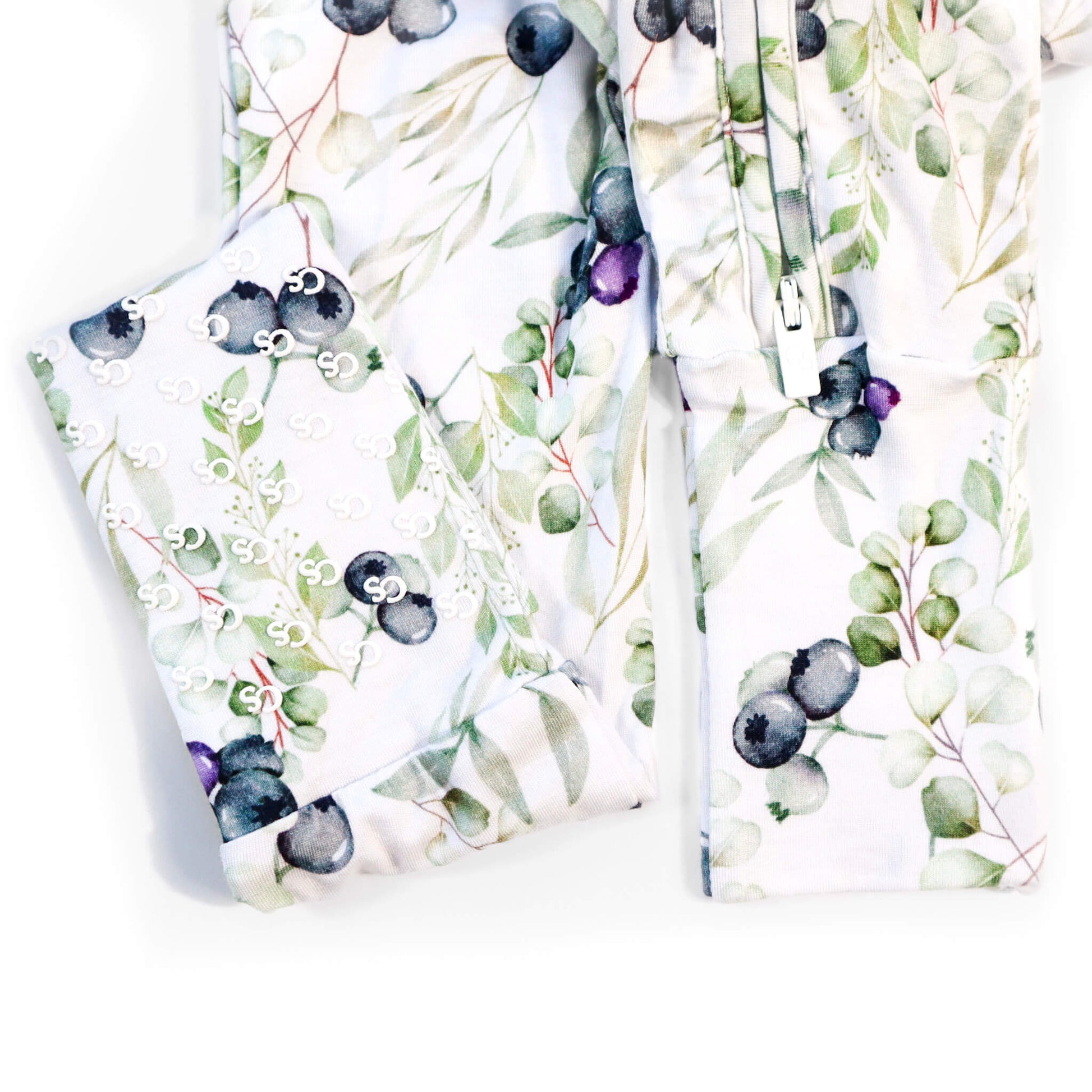 footie in blueberries