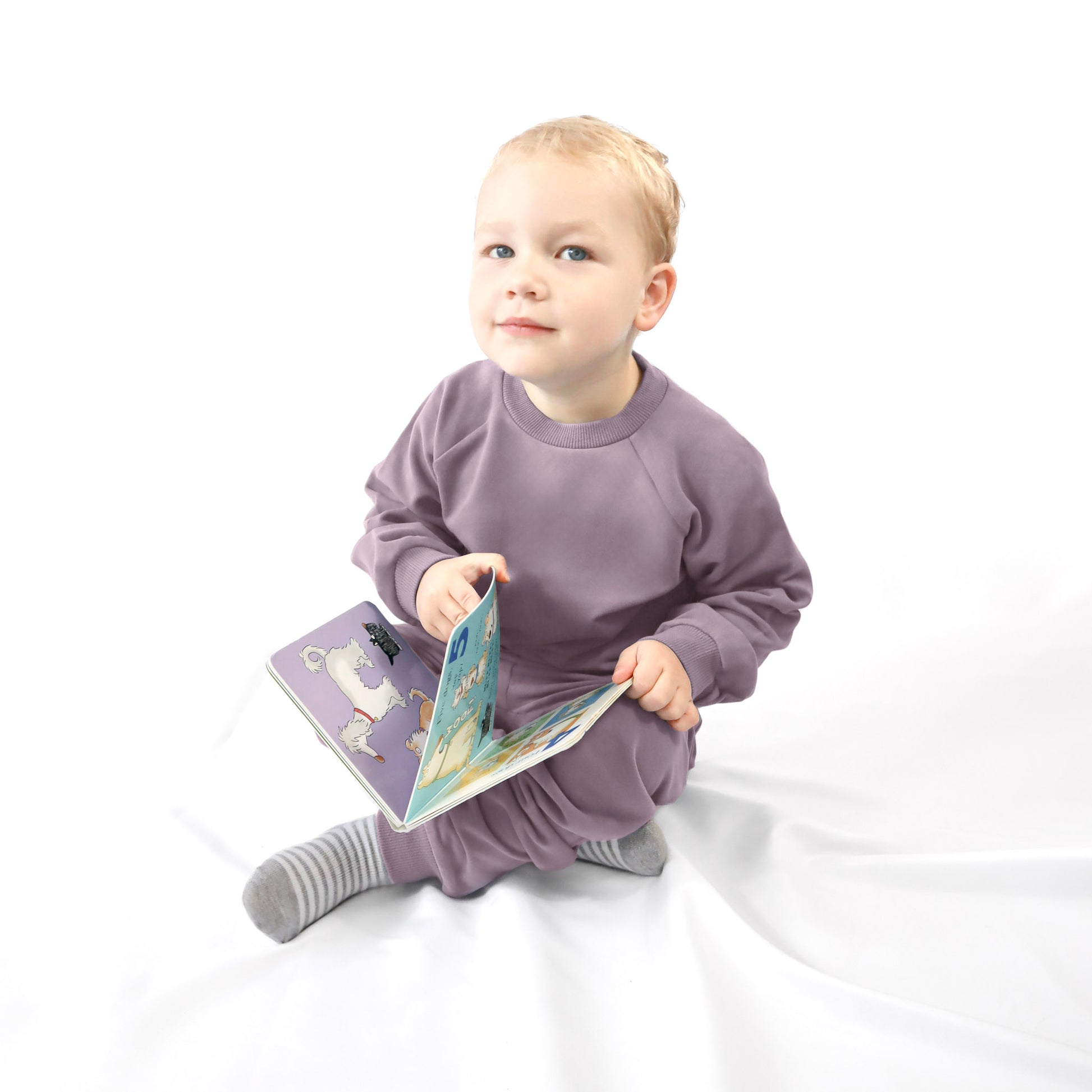 little boy holding book and wearing a Pullover a sweatshirt and joggers in lavender